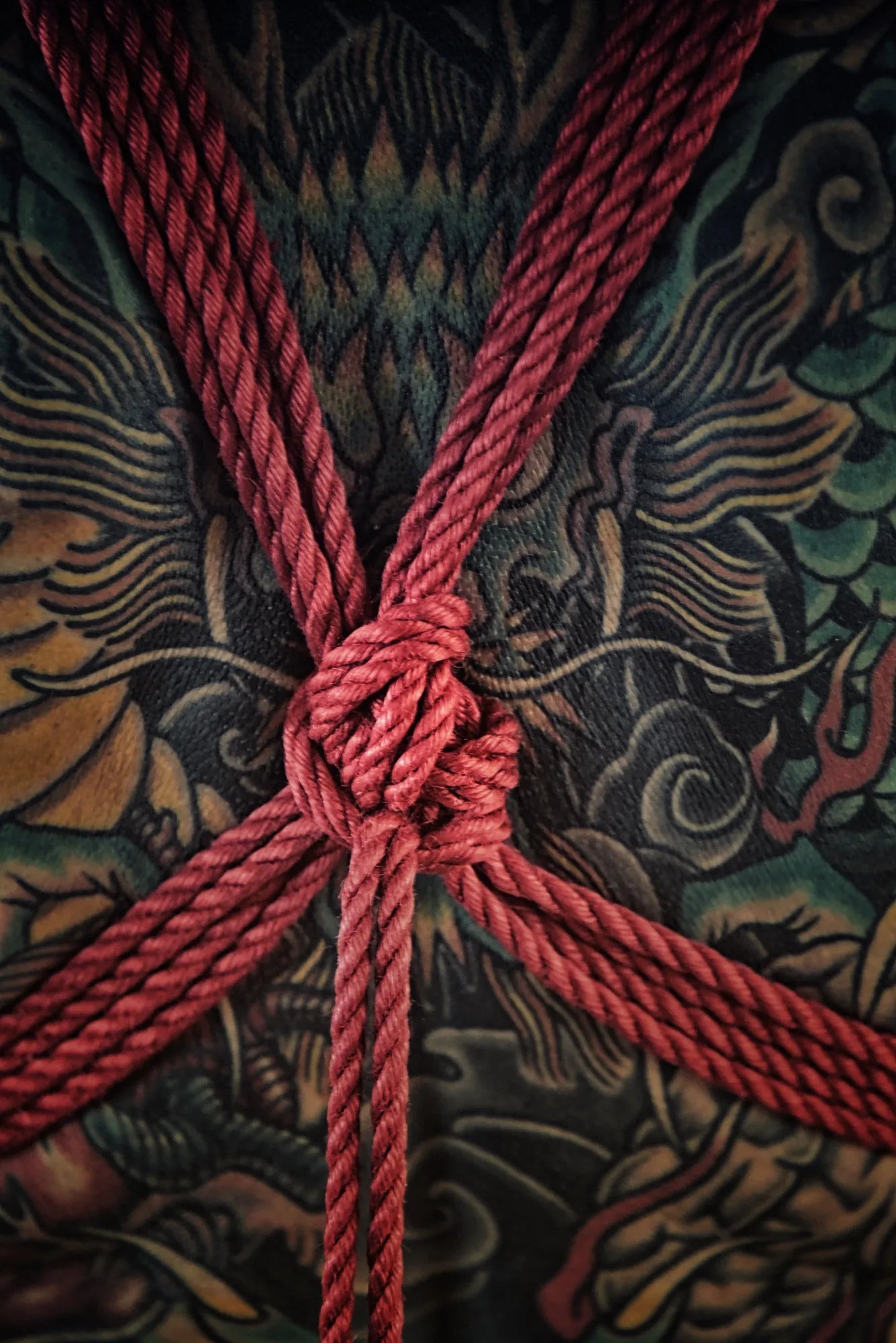 le contraste des cordes de shibari rouge sur le corps tatoué de Julie