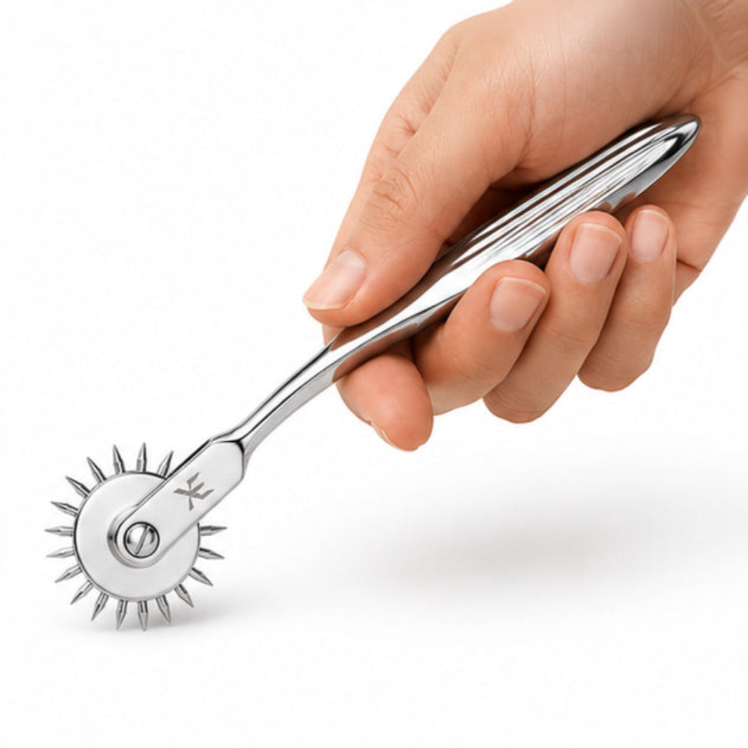Roulette de Wartenberg en acier inoxydable avec poignée ergonomique pour jeux sensoriels