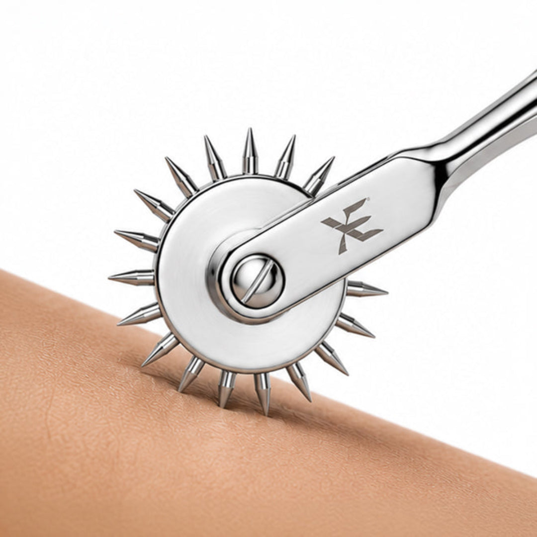 Détail des pointes de précision d'une Roulette de Wartenberg en acier inoxydable